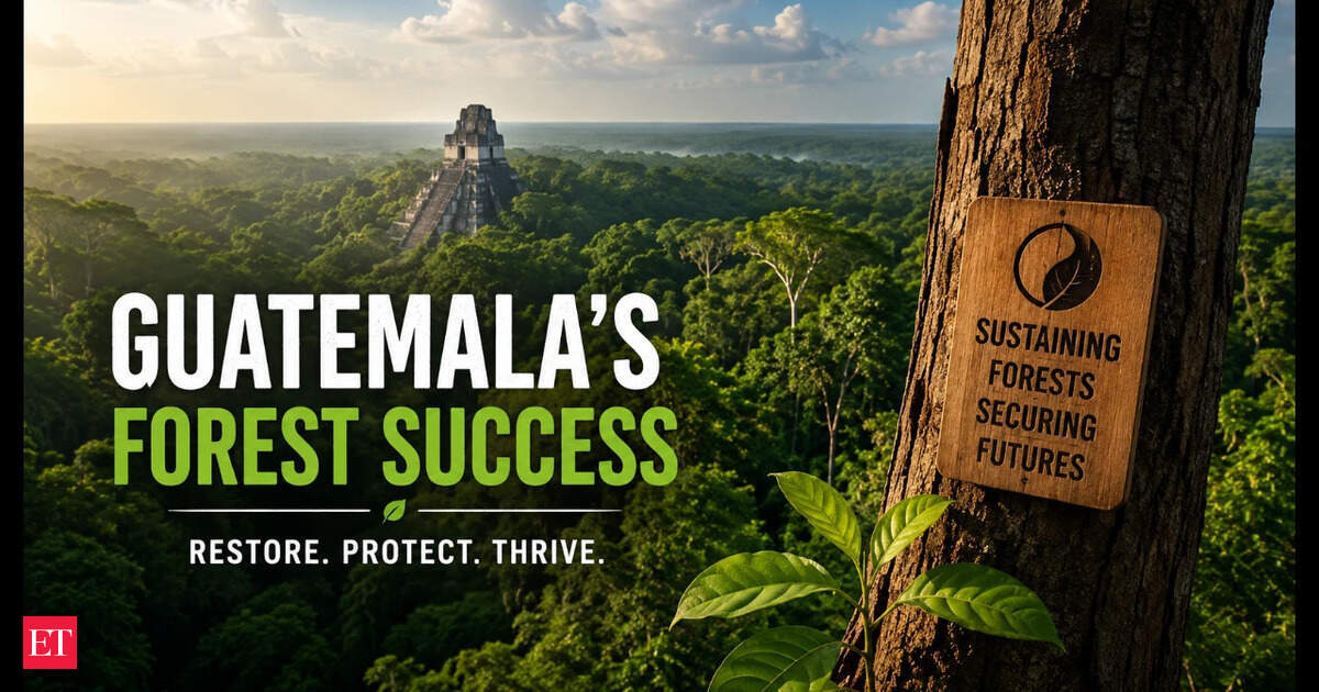In 1990, Guatemala launched an ambitious mahogany restoration program in Pet&eacute;n to combat deforestation. Years later, it produced Central America's largest natural forest and ...